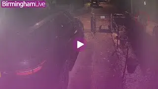 Midlands man believes he captured a 'Big Cat' on home CCTV