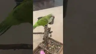 a phone/drone view of martin