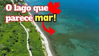 TORONTO NO VERÃO - ROLÊ DE BIKE PELO LAGO ONTÁRIO! - VIDA NO CANADÁ