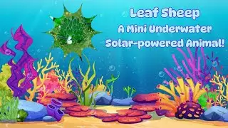 Leaf Sheep - A Mini Underwater Solar-powered Animal!
