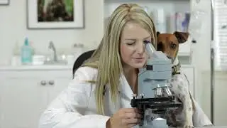 Pawfume Pet Scents