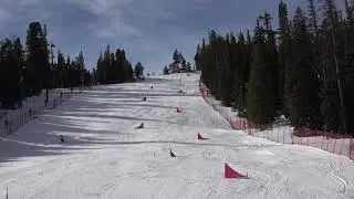 C0251