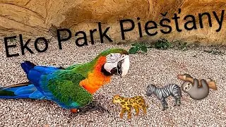 Eko Park Pie&scaron;ťany 2025