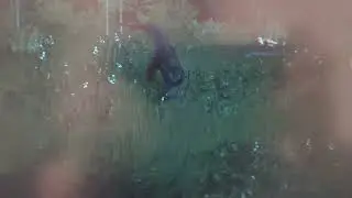 Мій Парк Юрського Періоду Jurassic World Evolution 2