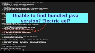 #androidstudio Electric eel: Unable to find bundled #java version