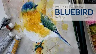 Tutorial video #97 – BLUEBIRD [timelapse]