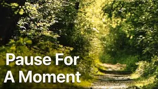 Pause for a Moment | A Short Guided Meditation
