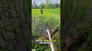 Kamu harus tau! Inilah pentingnya mengukur ketinggian air #shortsyt #waterlevel #watermonitoring