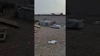 Нам очень нужен помощник 