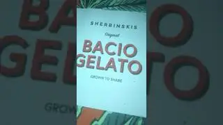 Breal  Sherbinski flavors bacio gelato
