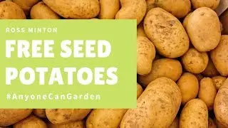 Seed Potato Unboxing - &pound;5 of FREE Spuds! - Trial Packs & Yukon Gold!