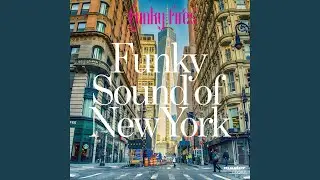 Funky Sound of New York