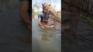 August 24, 2024 new carp fishing videos 2024 | Single hook fishing tips #fish​ #shorts​ #bait​