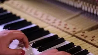 Muri&euml;l Bostdorp - Intro