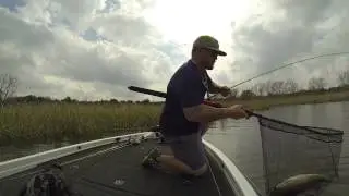 Cut R worm 7 pounder
