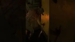 RDR 2 Wild West #504