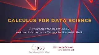 Calclulus for Data Science | Data Science Summer School 2023