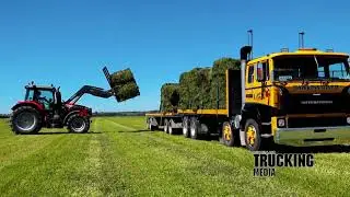 International T2670 8x4