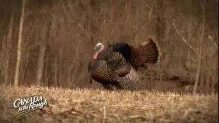 Federal Premium&reg; Ammunition: Paul Beasley Premium Moment