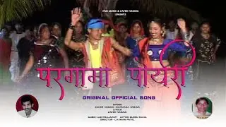 Pargama Payri (Official Video) | Adivasi Superhit Timli Song | Zaver Vasava & Narmada Vasava