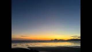 VI Vibes - Driftwood