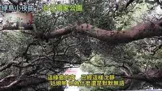 綠島小夜曲 (台江國家公園)  (桂花咖啡樂團)聽歌 練歌  遊台灣  2025june012