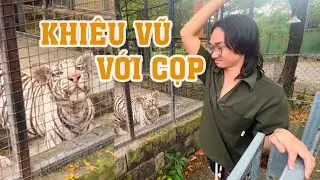 Khiêu vũ với HỔ - Làm nhục CÁ SẤU - Tham quan Sở thú VƯỜN XOÀI!!!