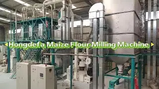 50T/24H Maize Milling Line | Turnkey Solution for Nigeria