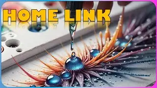 What does HomeLink do?