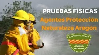 Pruebas Físicas Forestales de Aragón 2020 | MasterD