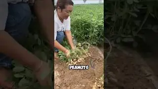 #reelschallenge