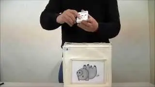 Pretorian Kinetic - Dice Activity with iPad