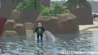 Dolphin Adventures - SeaWorld Orlando, Dolphin Stadium - 20th January, 2025