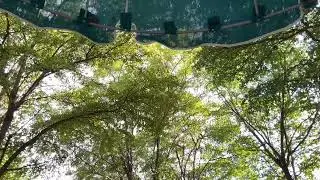 audiovisual communication: the voice of nature