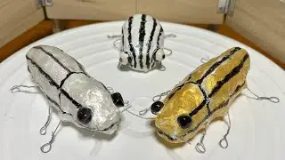 キンイロタマムシ vs ギンイロタマムシ/Golden jewel beetle vs Silver jewel beetle