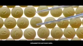 Prezentatsiya NewEra - Китайская Государственная MLM компаниия