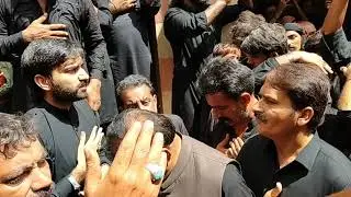 8 Muharam Jaloos Zauljanh Baramad Qademi Hussaini Imam Bargha Sehwan Sharif 2020 Sayed Raja Sain