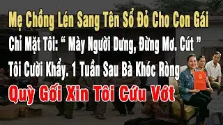 Mẹ Chồng Lén Sang Tên Sổ Đỏ Cho Con Gái, Chỉ Thẳng Mặt Tôi: 