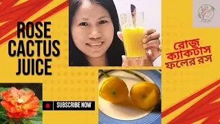 Rose cactus || Rose Cactus Fruit Juice || রোজ ক্যাকটাস || Pereskia bleo || Rangamati
