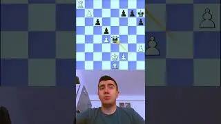 avoiding the perpetual check