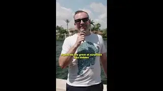 Transparent Marketing with Savage: No Surprises, No Hidden Fees, Just Results!