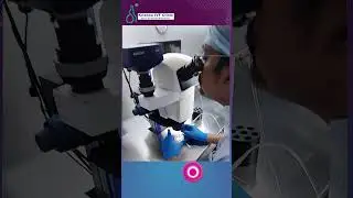 Krishna IVF Clinic - Advanced Embryology Lab with Laminar Air Flow for Better IVF Success
