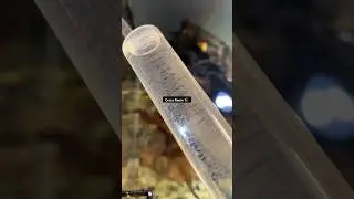 fish needle time💉💉🩸🩸#shortvideo #bestmoments #fishtank #myfirstvlog #myhomestyle