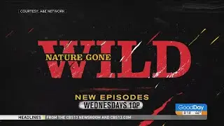 Nature Gone Wild on  A&E