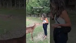 Instagram vs reality of Nara Park near Kyoto and Osaka, Japan #instagramvsreality #funnyshorts