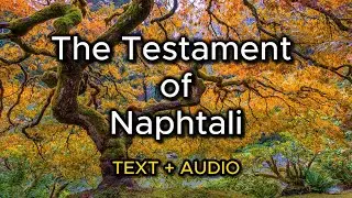 The Testament of Naphtali