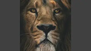 king Jesus