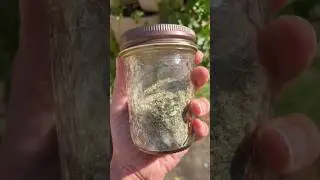 Homemade Herb Salt 🌿