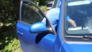 How to help a turtle cross the road
