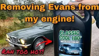 Switching to Regular Coolant after Using Evans Waterless Coolant in my Daily Driver for 6 Months